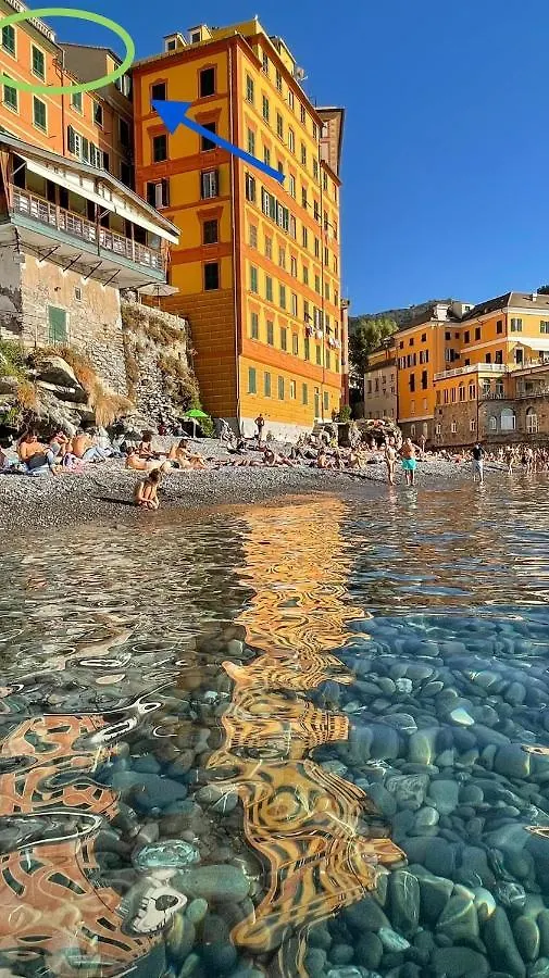 Apartment La Lampara Camogli